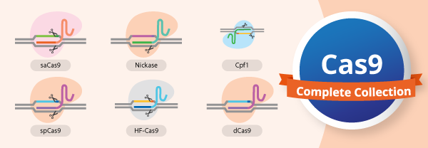 Cas9 Protein Collection