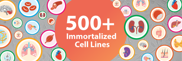 500+ Immortalized Cell Lines