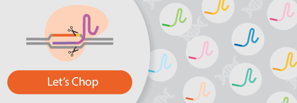 CRISPR Learning Resources: Let's chop some DNA!